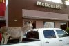 Ja też jestem miłośnikiem Mcdonalda 