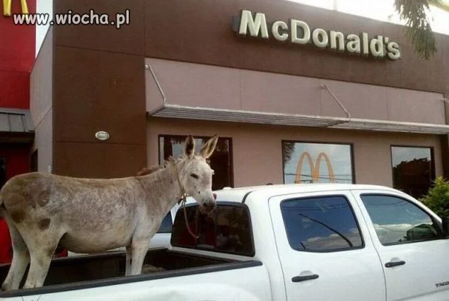 Ja też jestem miłośnikiem Mcdonalda 