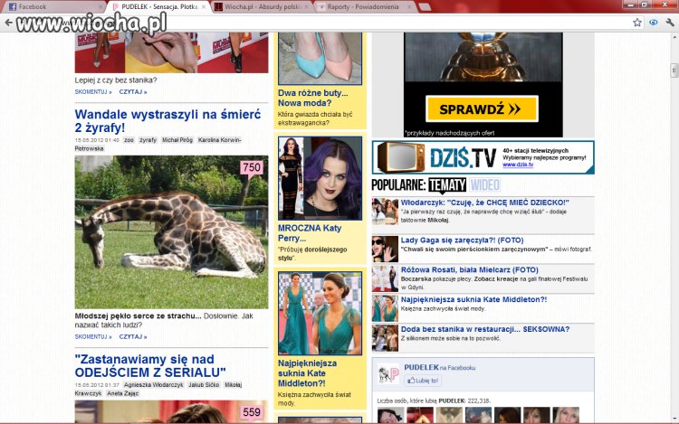 "WANDALE"wstyd mi że jestem Polką