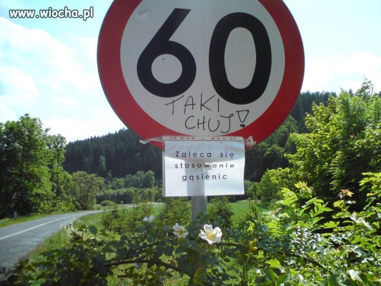 Nasza Polska