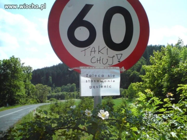 Nasza Polska