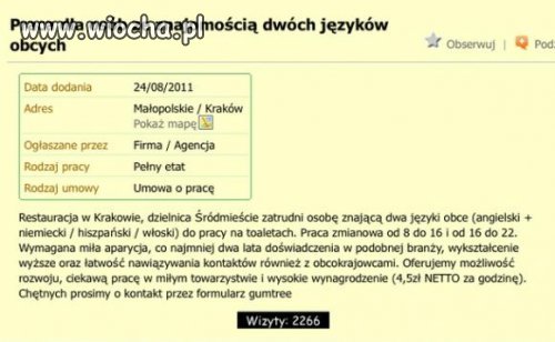 Ogłoszenie dam pracę 