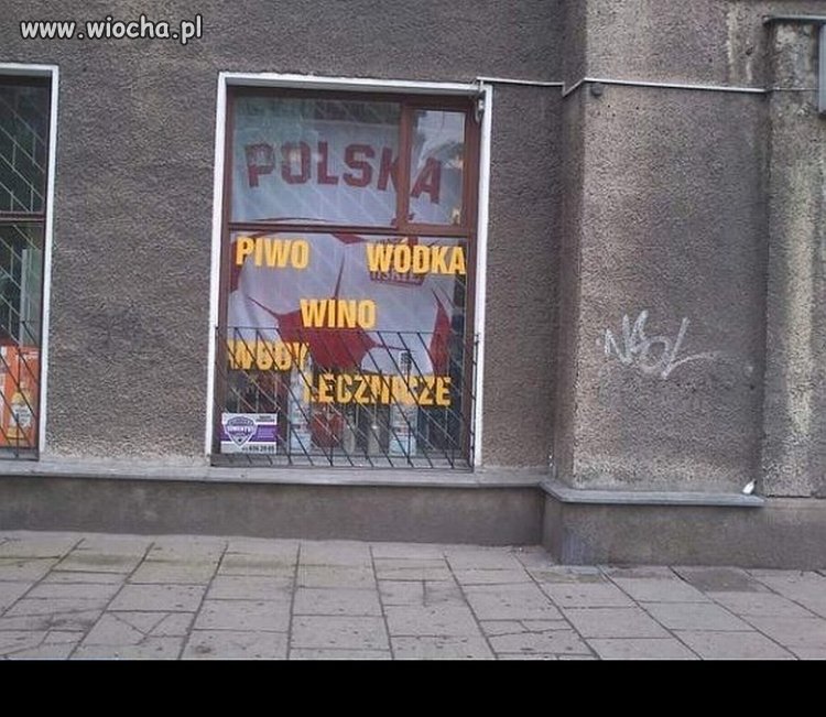 W ofercie