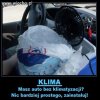 Nie ma to jak dobra klima