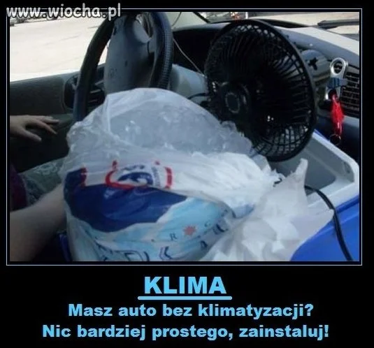 Nie ma to jak dobra klima