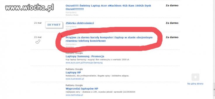 Polska młodzież 