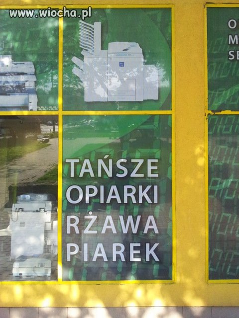 Opiarki potaniały