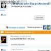 The Sims