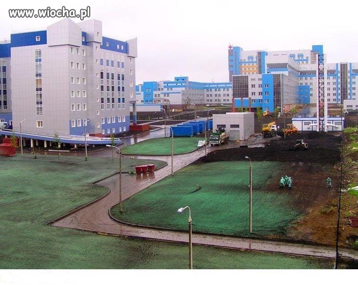 Ukraina Euro 2012 Malowanie trawy(autentyk)