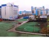 Ukraina Euro 2012 Malowanie trawy(autentyk)