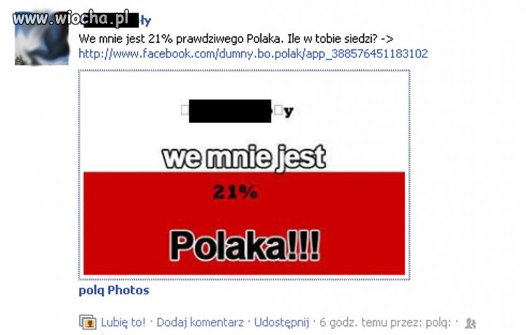 Polak potrafi...