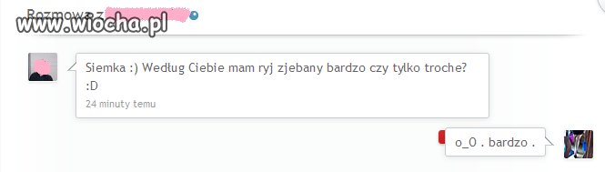 Ja nie mam pytań
