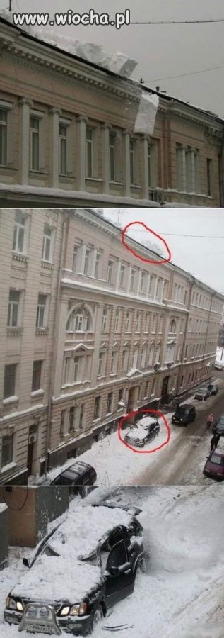 Miasto posprząta 