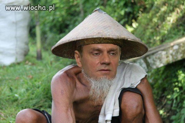 Przyczajony tygrys