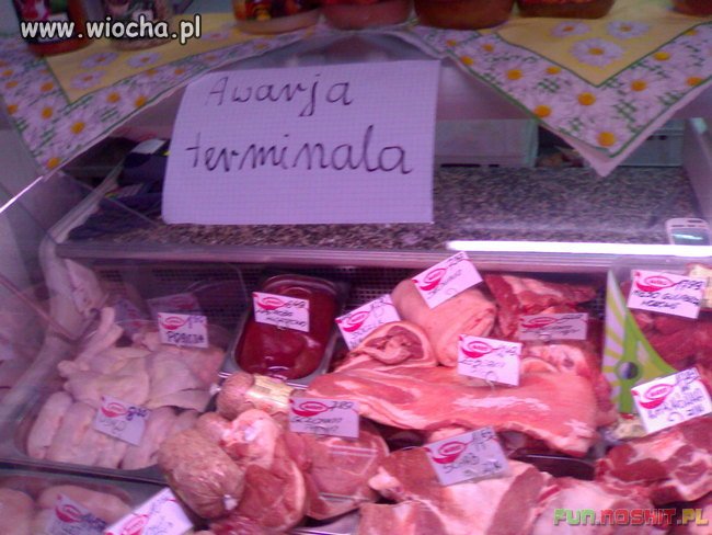 Wszystkie zasady ortografii