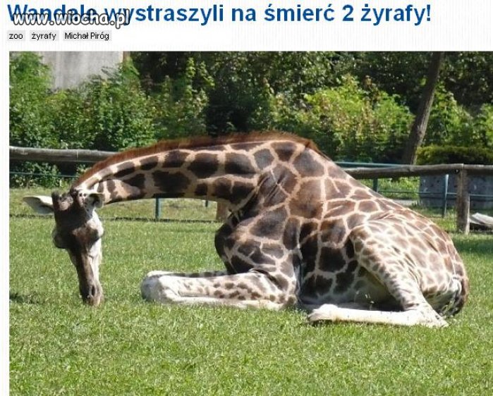 Nie mam słów na takie rzeczy