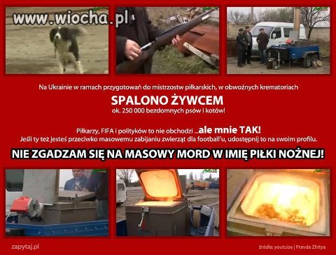 Lepiej wydać państwowe pieniądze