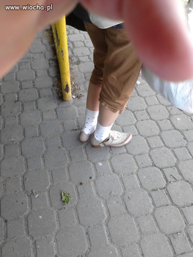 Koko, koko skarpety do pantofli spoko!
