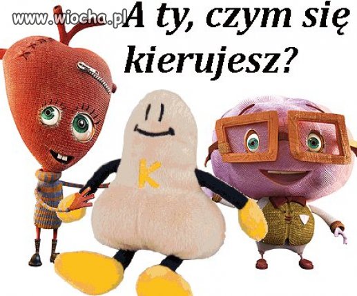 A ty czym się kierujesz ?