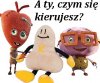 A ty czym się kierujesz ?