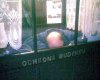Ochrona