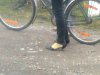 Najnowsze Trendy