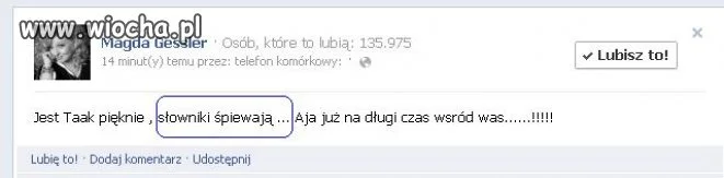 Nie wiedziałem,