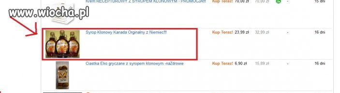 No to w końcu Kanada czy Niemcy?