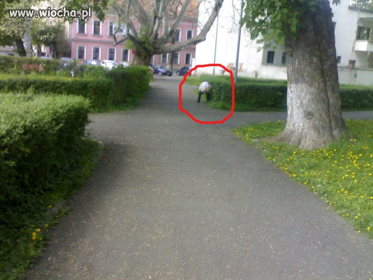 Nie wytrzymał...