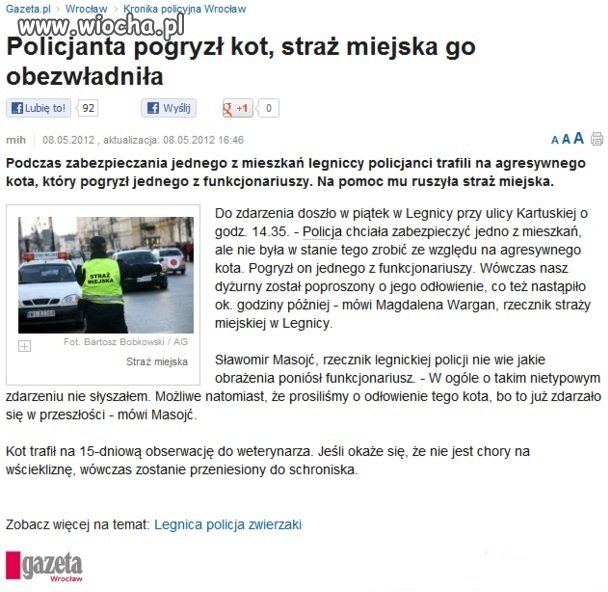 Tytuł mówi sam za siebie 