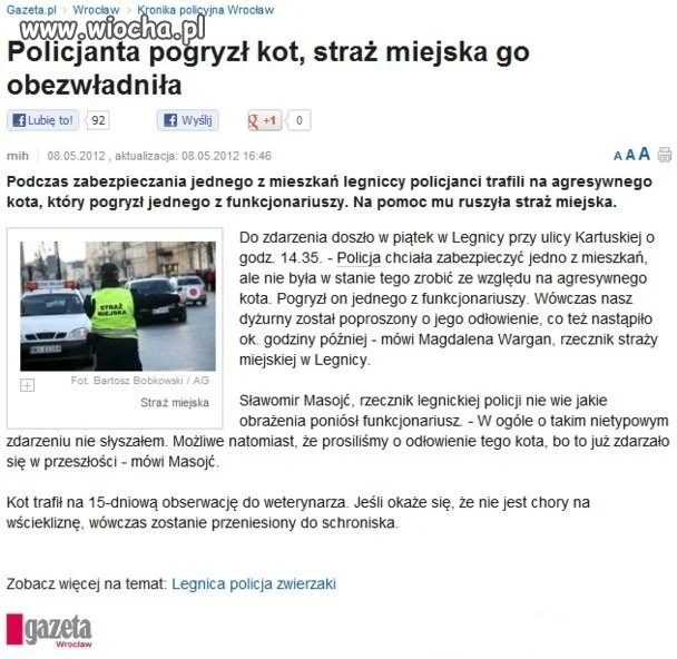 Tytuł mówi sam za siebie 