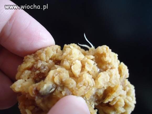 KFC z piórami 