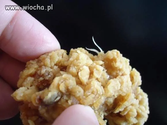 KFC z piórami 