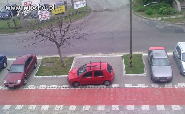 Egoista
