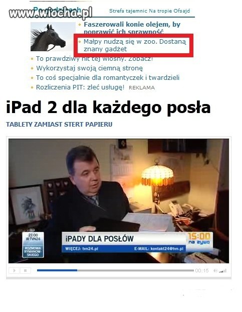 Polscy politycy 