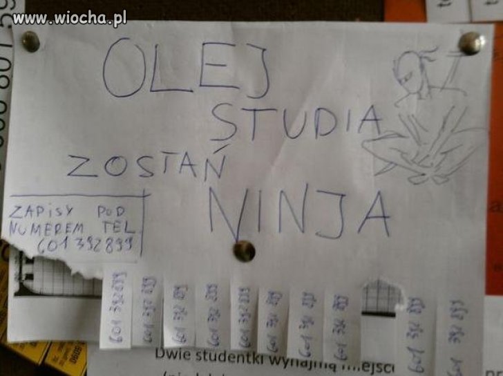 Zostań Ninja