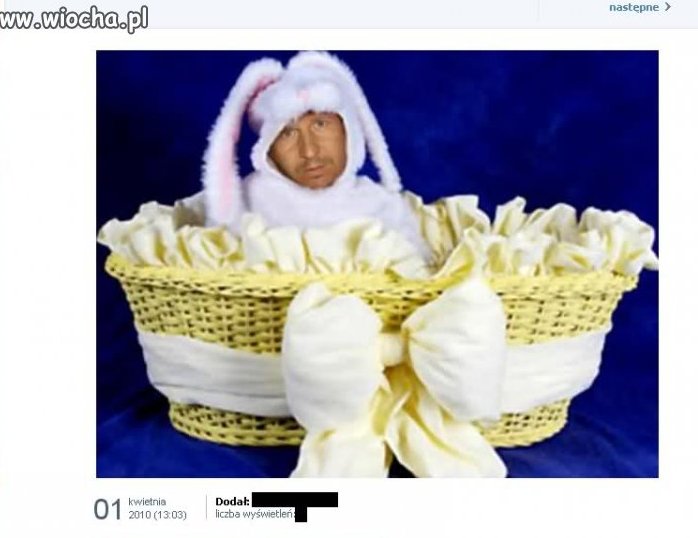 Królik...