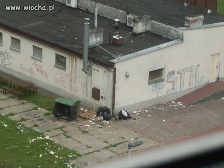 Taki mały śmietniczek