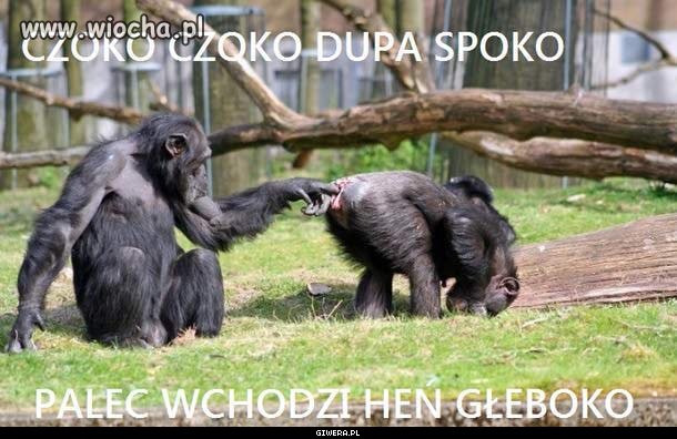 Drugi Smoleńsk ?
