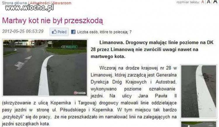 Martwy kot nie był przeszkodą...