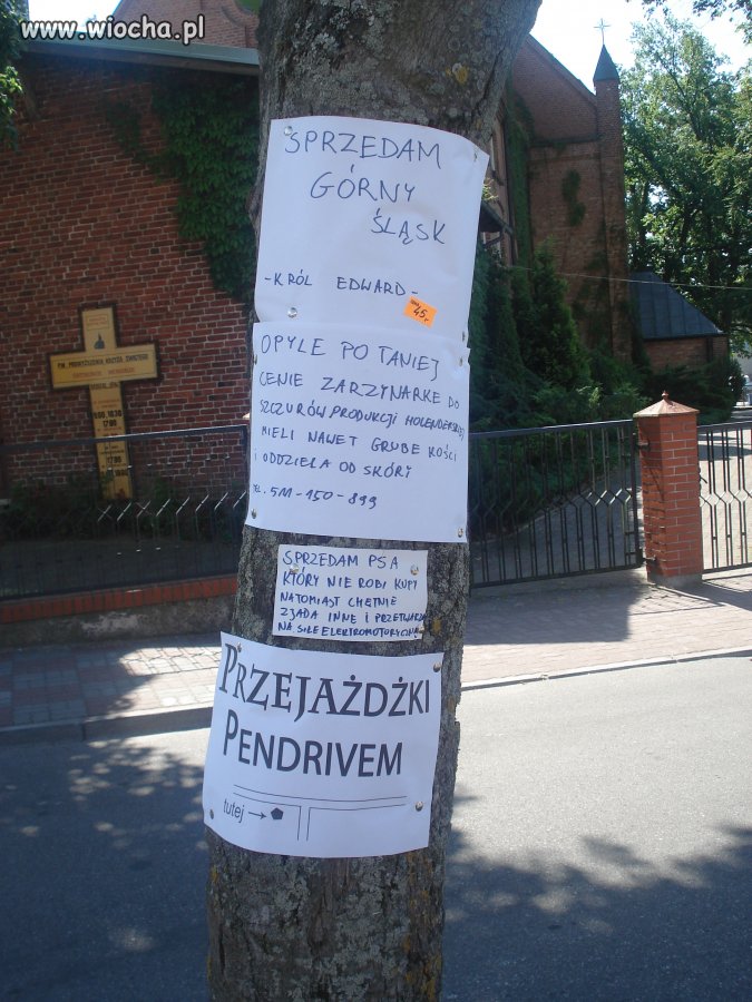 Słup ogłoszeń Wakacje 2009 Ustronie Morskie
