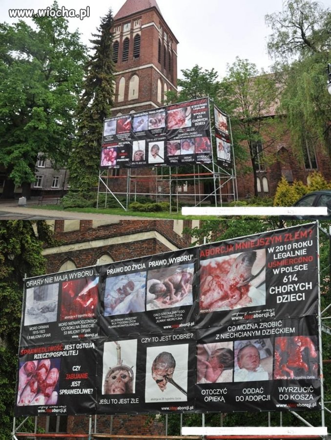 Maj miesiącem I Komunii Świętej.