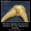 Bardzo...ładna