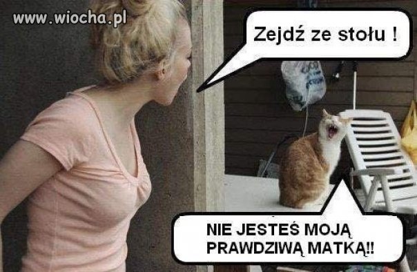 Prawdziwa ???