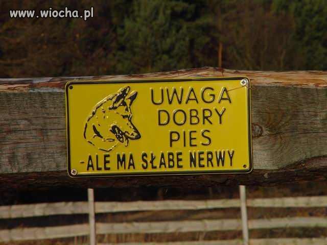 Ja wolę nie sprawdzać jego dobroci.