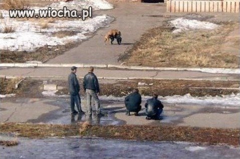 Na bezrybiu...