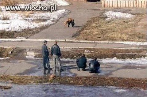 Na bezrybiu...