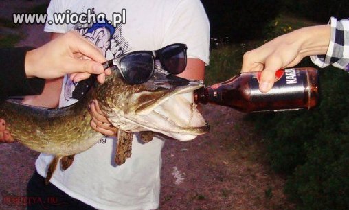 Robić krzywdę zwierzęciu 