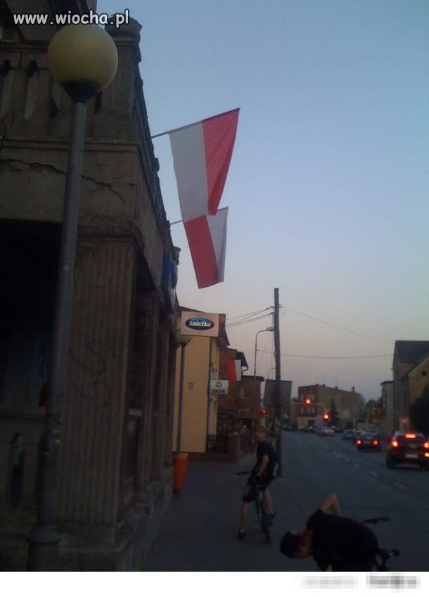Patrioci