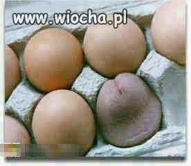''JAJKA''